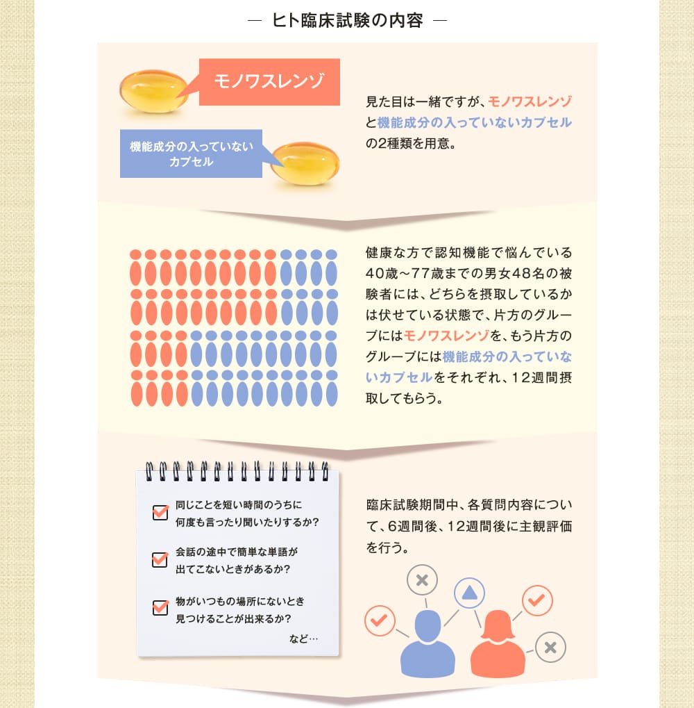 ヒト臨床試験の内容