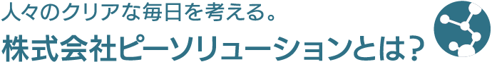 株式会社ピーソリューションとは