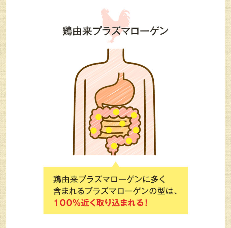 鶏由来プラズマローゲン