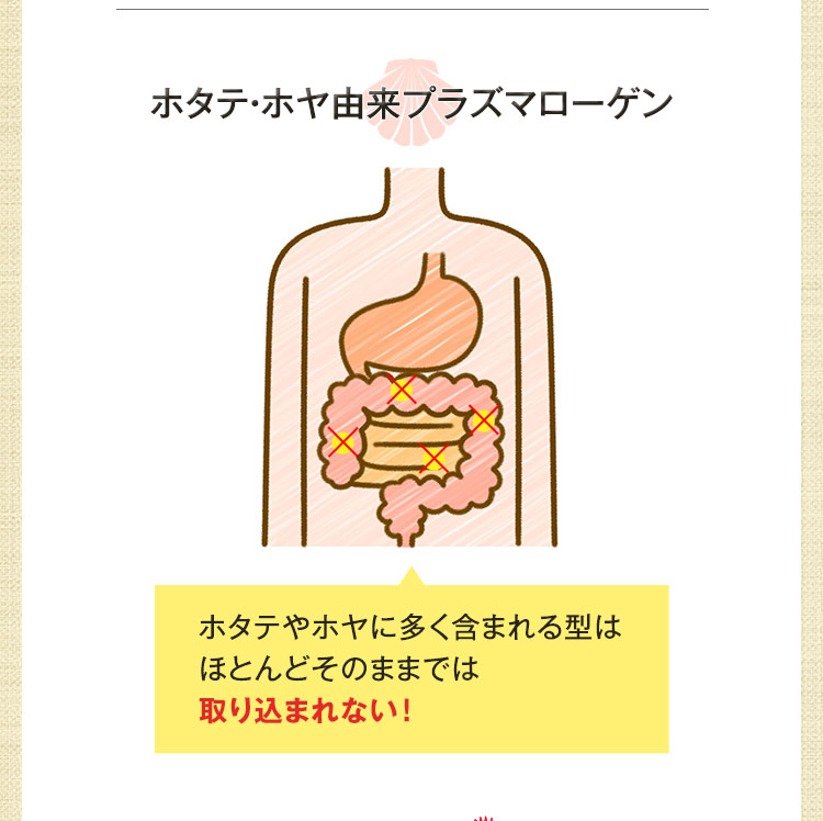 ホタテ・ホヤ由来プラズマローゲン